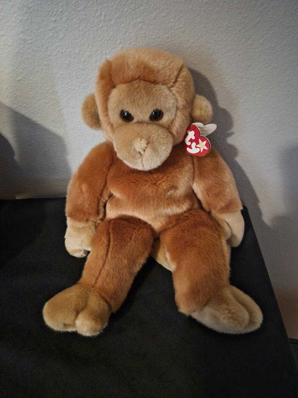 TY Beanie Buddy "Bongo"